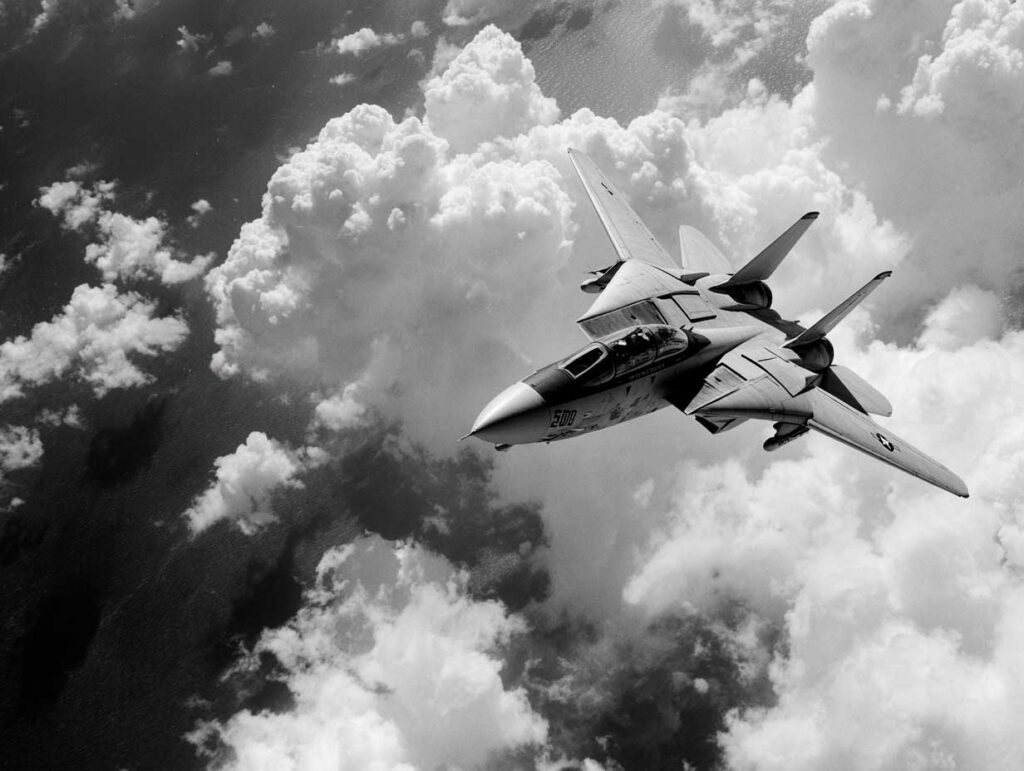 Grumman F-14 Tomcat