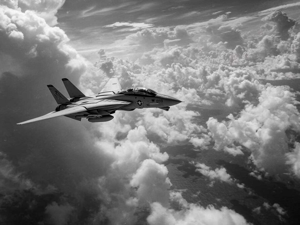 Grumman F-14 Tomcat