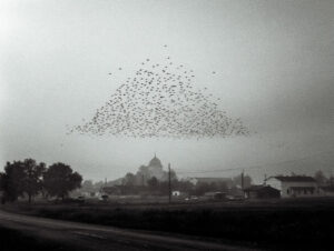 drone swarm essaim de drones